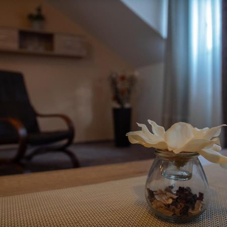 Hotel Pizzeria Istria Velké Losiny 外观 照片